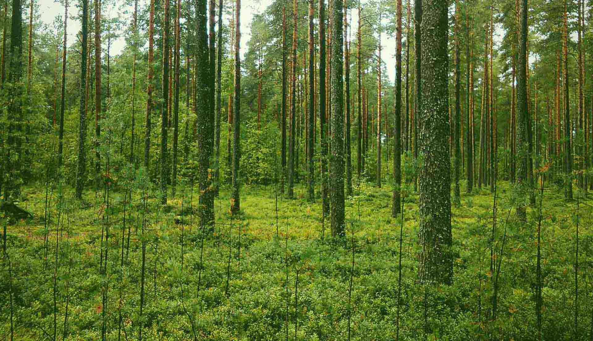 digibastards - webdevelopment - portfolio - julia van de griendt