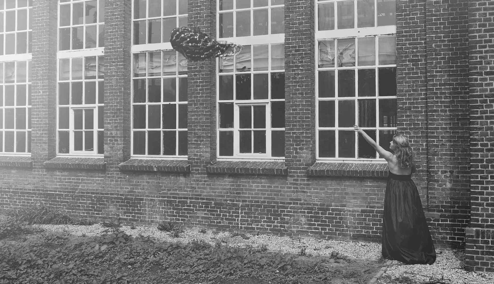 digibastards - webdevelopment - portfolio - kathelijnvandongen